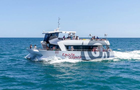 Catamaran Custom