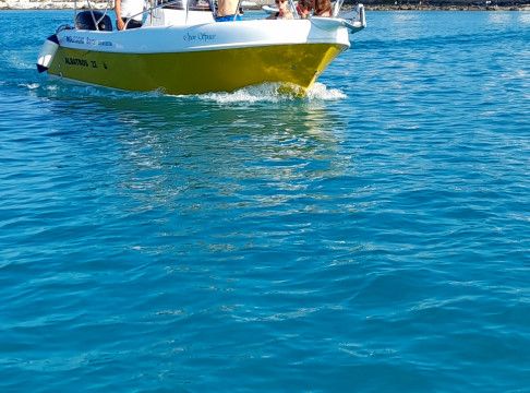 Albatros22 Open space