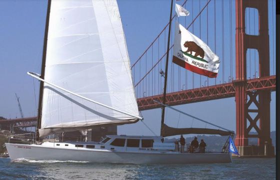 Wyliecat 65