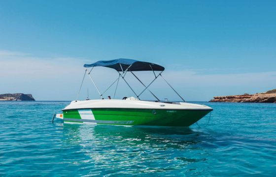 Bayliner Element E5
