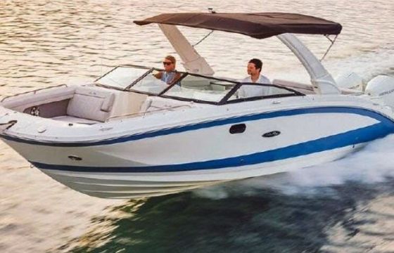 Sea Ray SDX 290