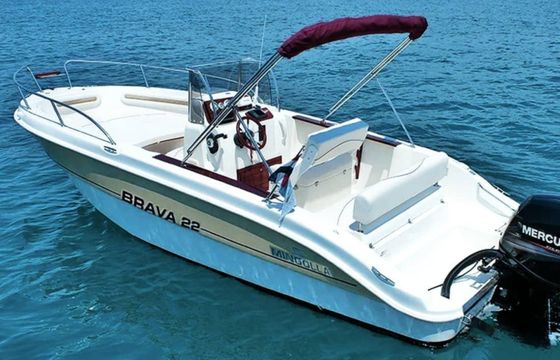 Mingolla Brava 22