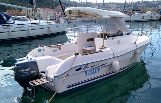 Quicksilver 530 Flamingo
