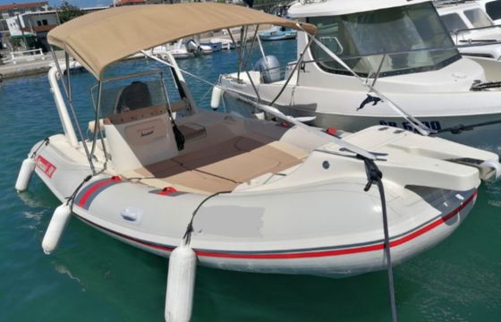 Barracuda 590