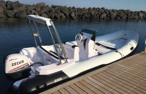 Predator 599