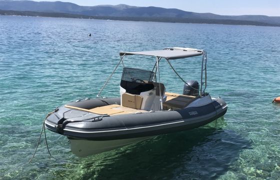 Salpa Soleil 20