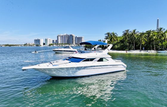 Sea Ray 440 Express Bridge
