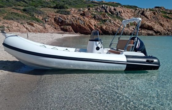 Pegasus G500
