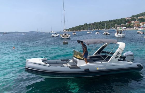 Barracuda BF 23