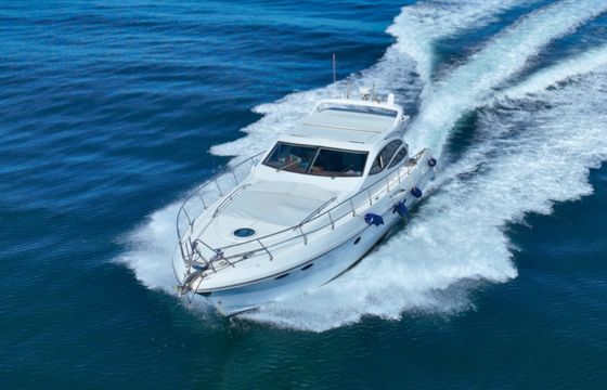 Innovazione e Progetti Alena 48 Hard Top
