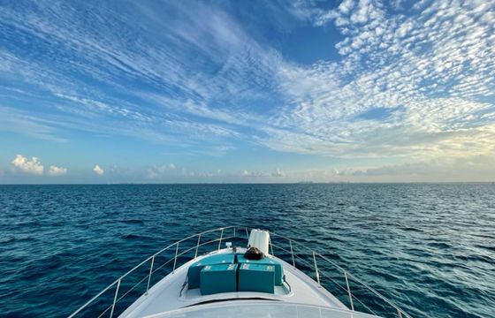 Sea Ray Flybridge