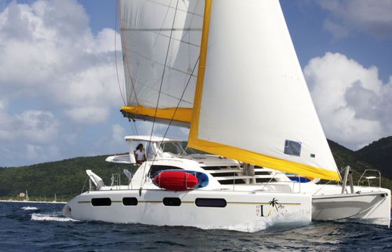 Leopard ONE LOVE 46