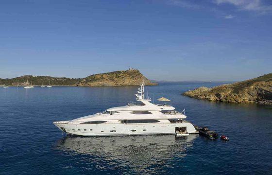 Crn PARADISE