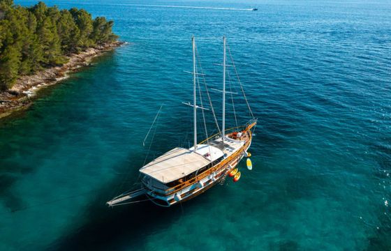 Unknown M/S Allure