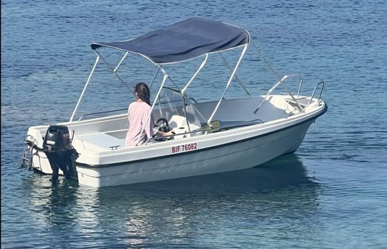 Terhi 445 C