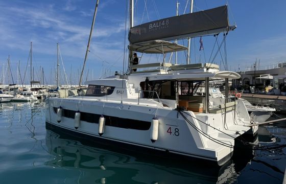 Bali 4.8 Silver Dolphin