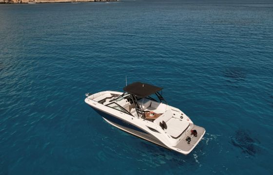 Sea Ray 250 sdx