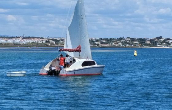 BoB cat Shamrock catamaran