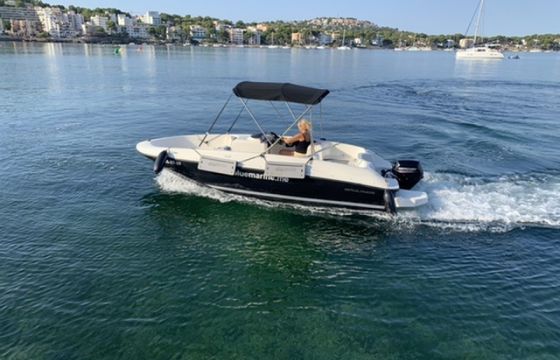 Bayliner Element E 5