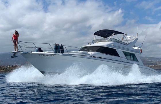 Sea Ray 550 Sedan Bridge
