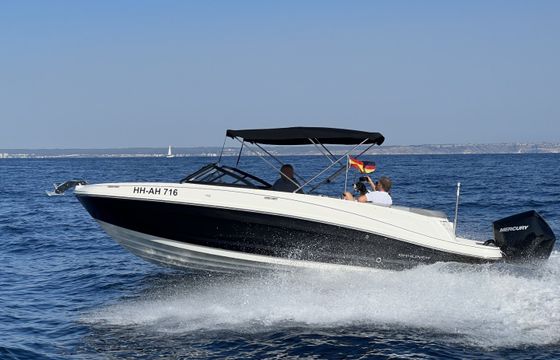 Bayliner VR6 OB