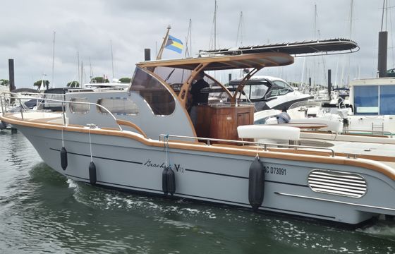 Beacher V12