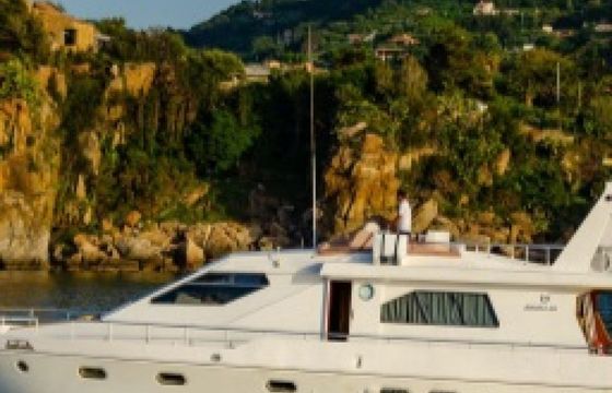Maiora 60