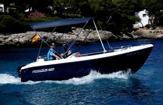 Pegazus 460