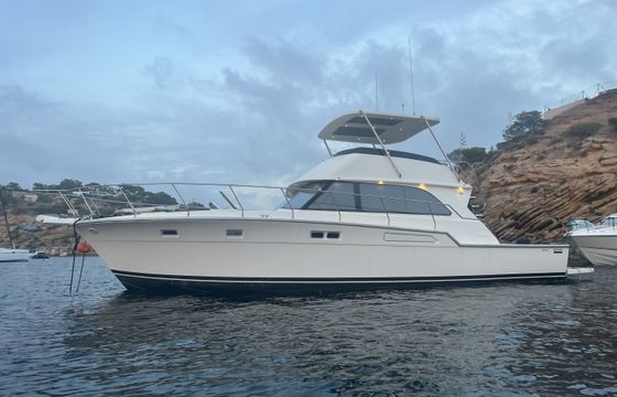Bertram 54