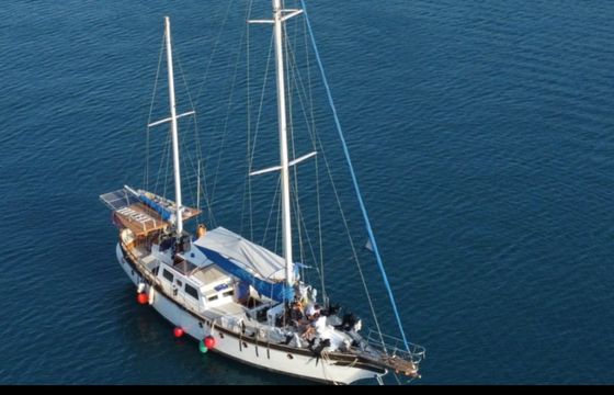 Formosa 56 feet