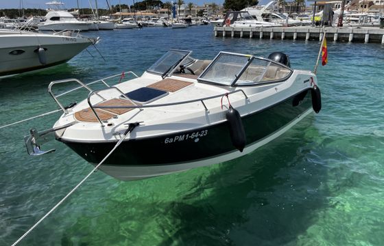 Quicksilver Activ 595 Cruiser