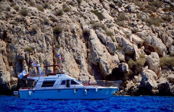Brychwood45