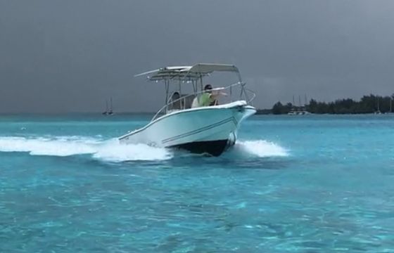 Kelt WHITE SHARK 225