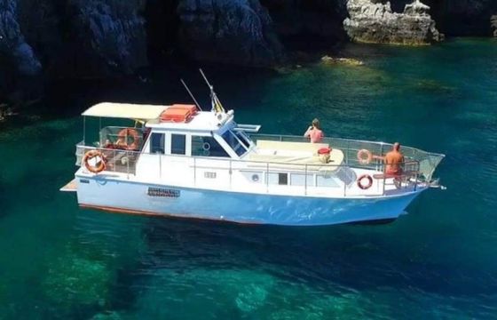 Wooden 10M