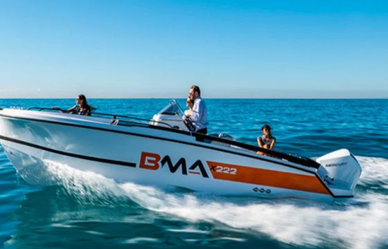 BMA X222