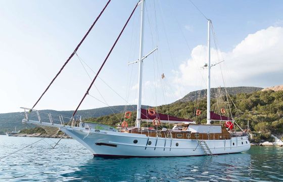 Pruva Yachting PRIMADONNA