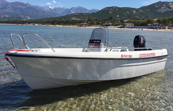 Terhi 445 C