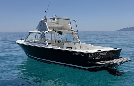 Bertram 25