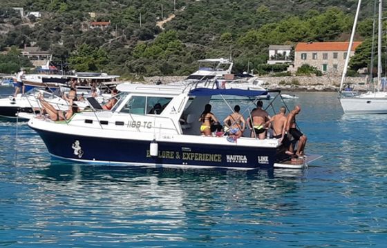 Albin 28 Tournament Express