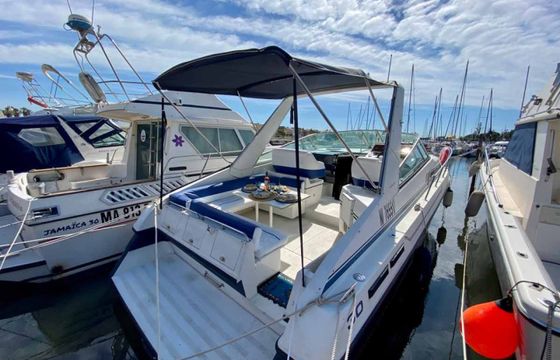 Carver ALLEGRA 30