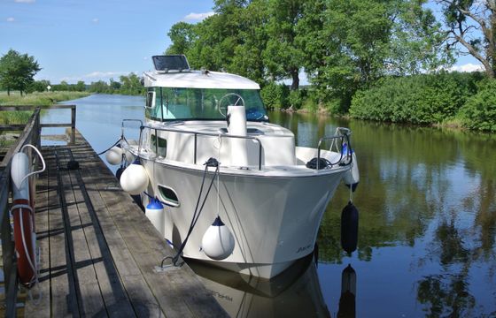Delphia Escape 800