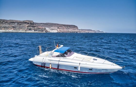 Abbate Executive 42