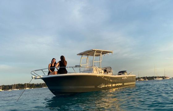 White Shark 206