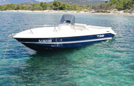 Airon 223 Fish