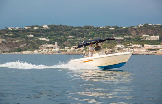 Terminal Boat Freestyle 21
