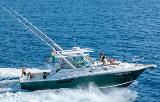 PURSUIT 3400 "Express"