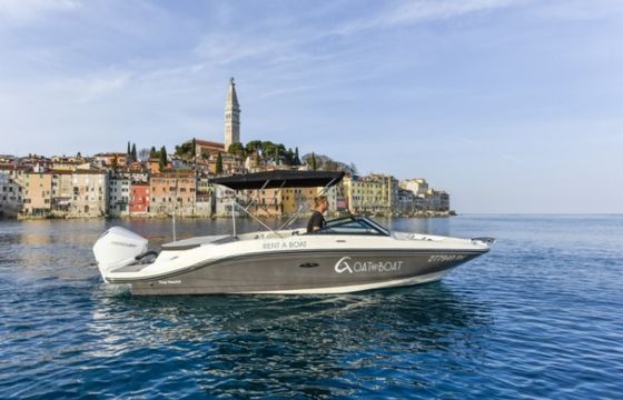 Sea Ray SPX 210 OB