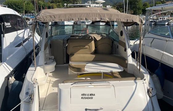Sea Ray 310 Sundancer