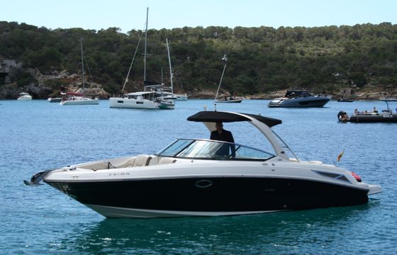 Sea Ray SLX 310