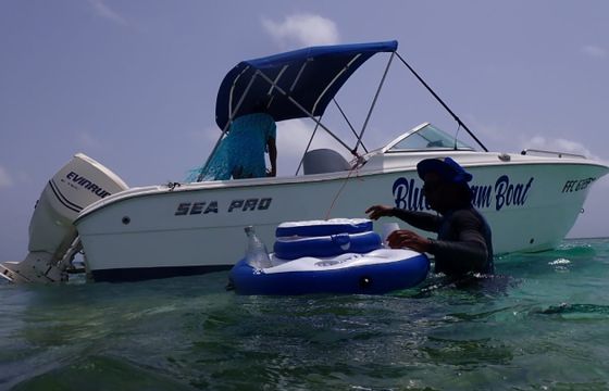 Sea Pro 206dc